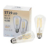 Smart Home Certified LED Edison Smart Light Bulb