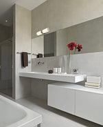 Modern Transitional Frosted Bathroom Light